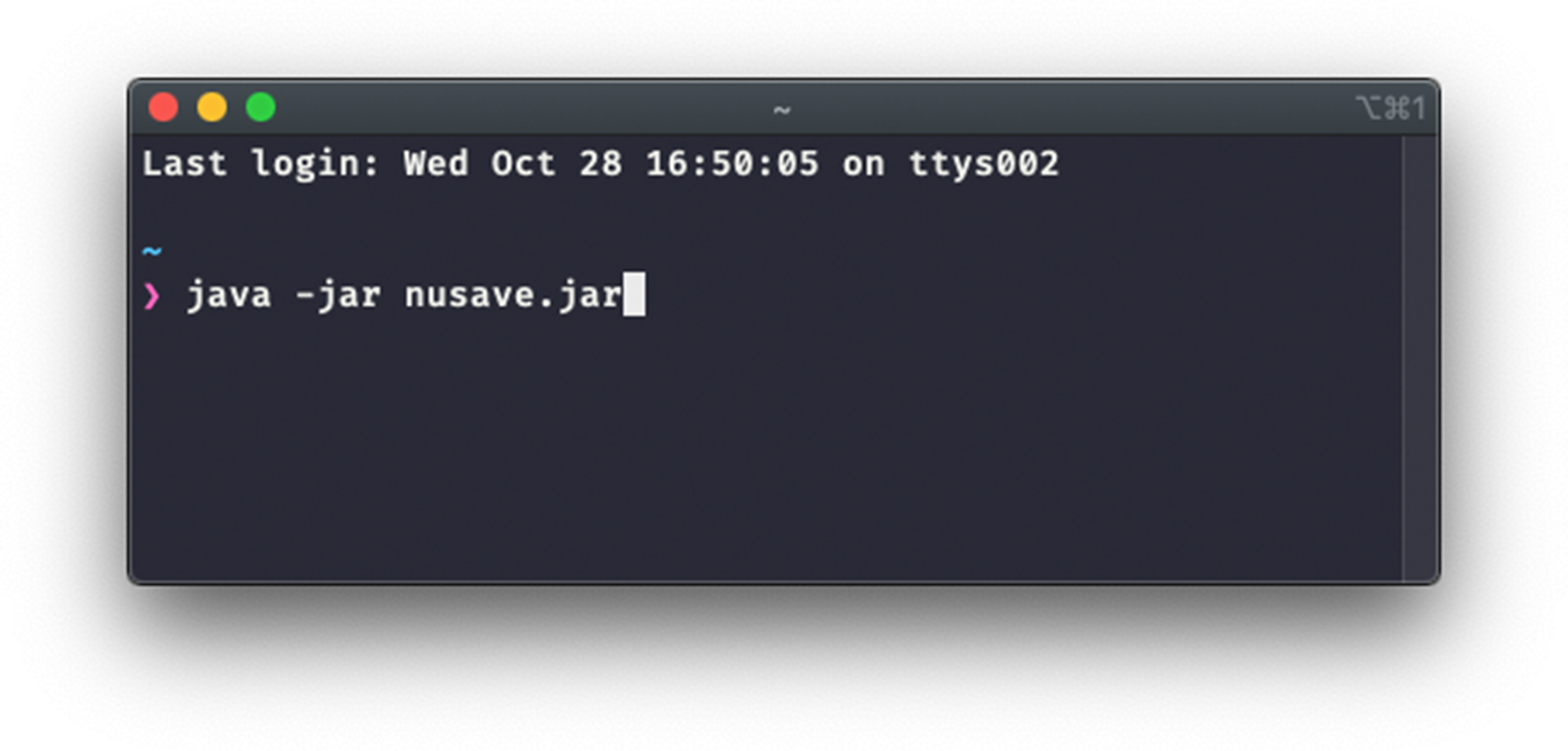 Example of launching NUSave using terminal