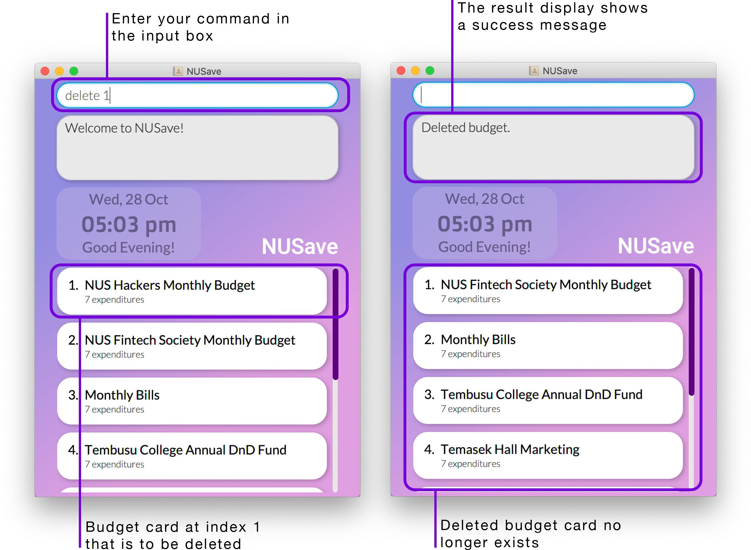 Example of delete budget command