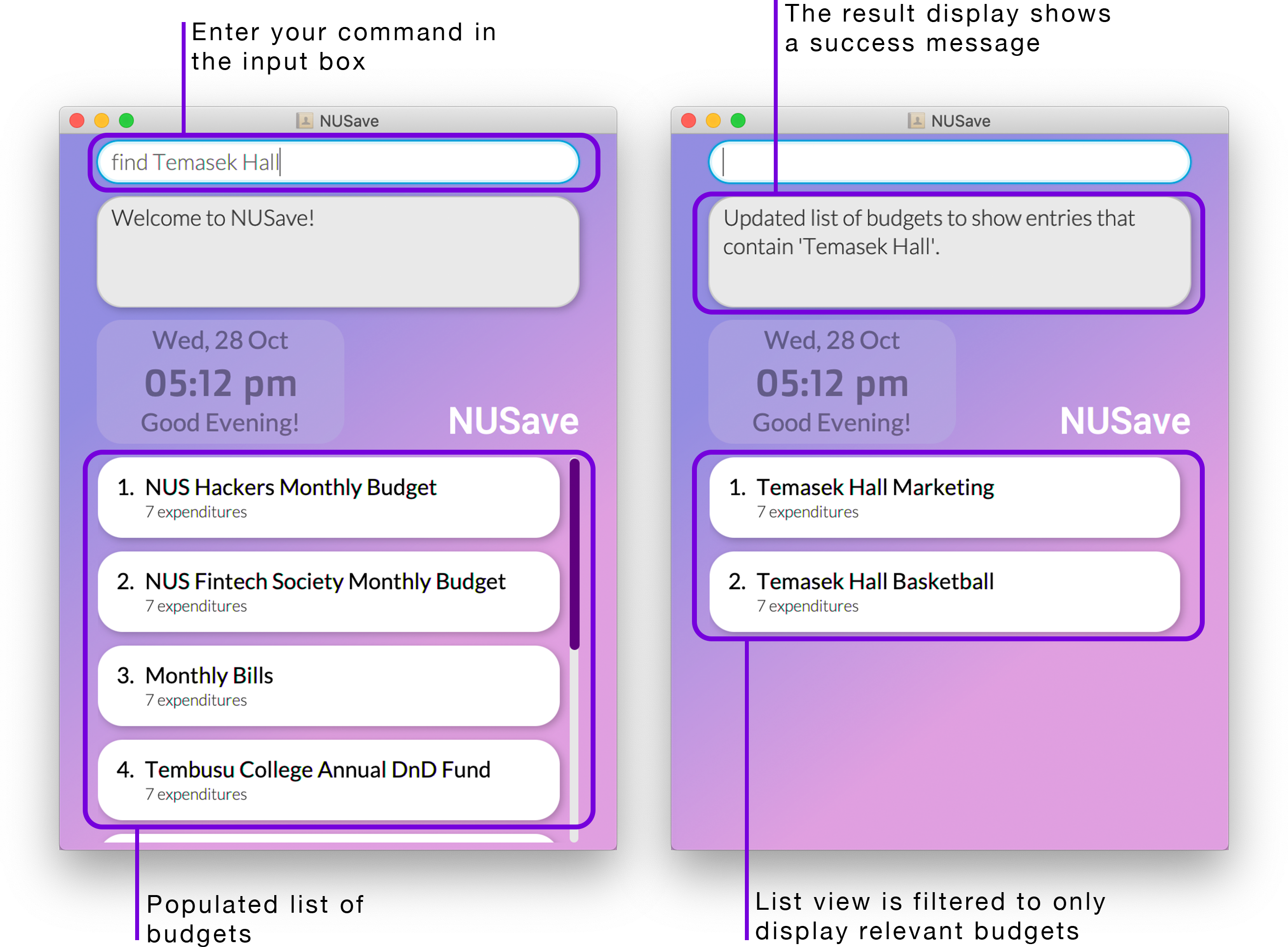 Example of find budgets command