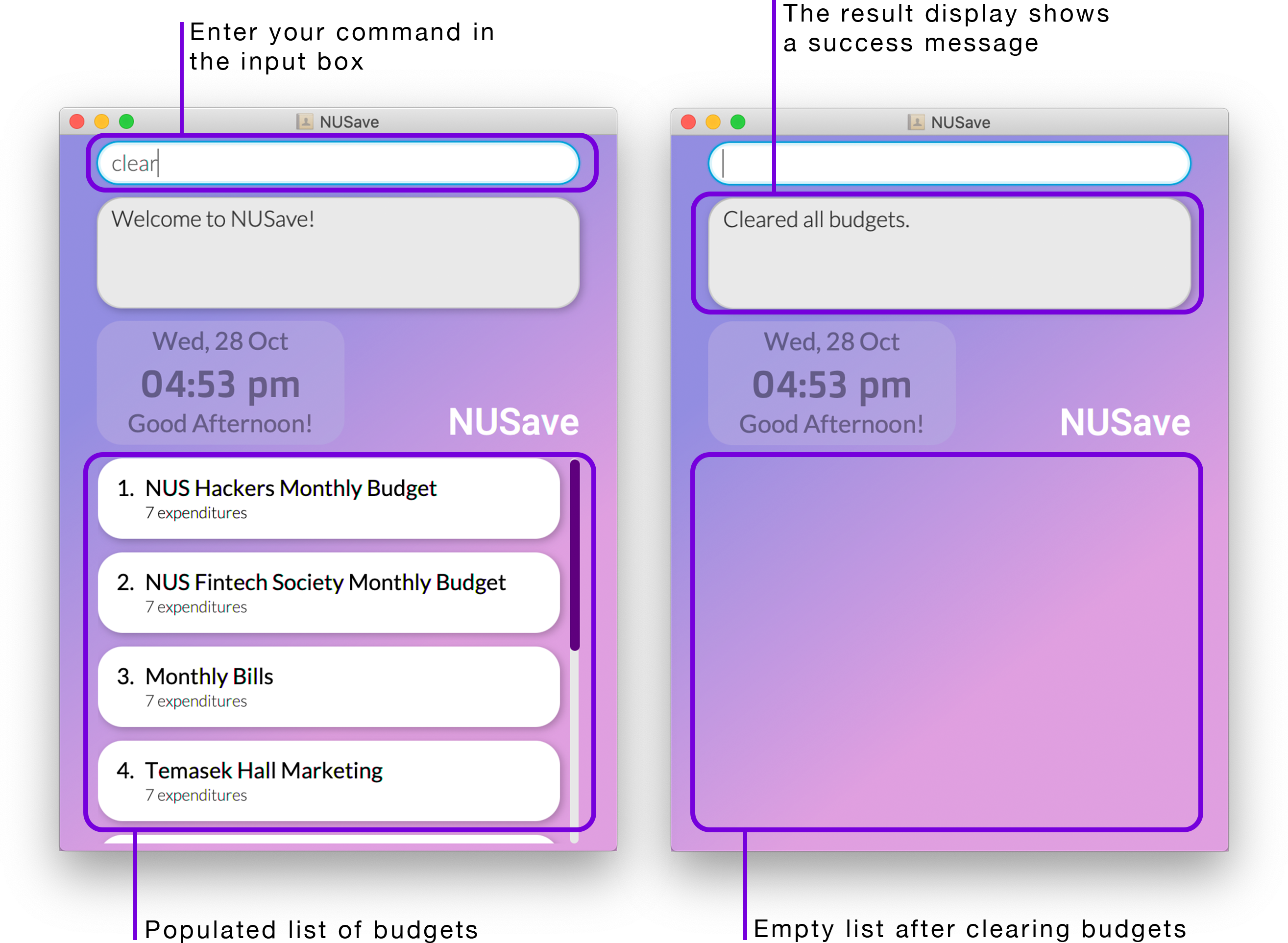 Example of clear budgets command