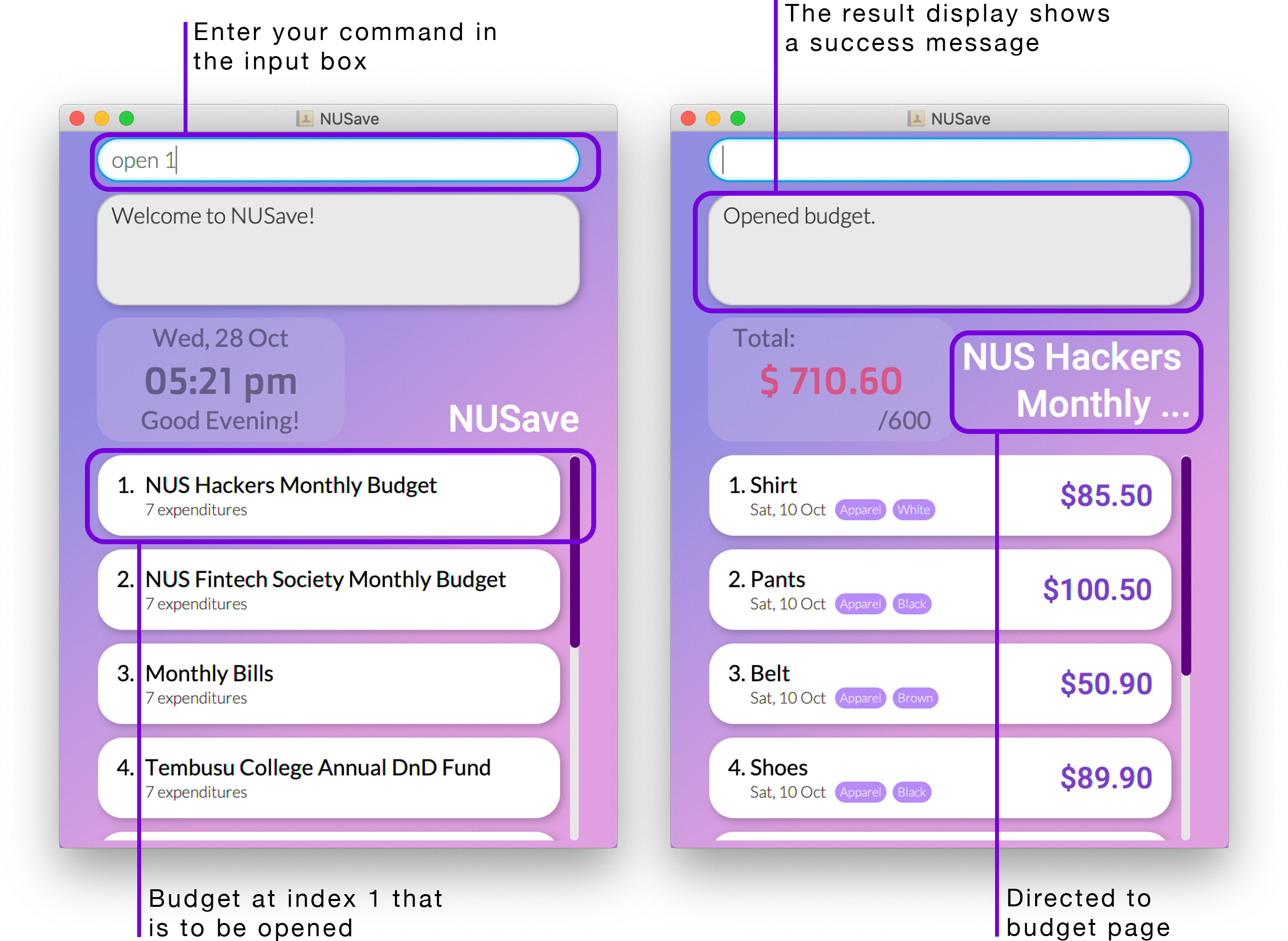 Example of open budget command