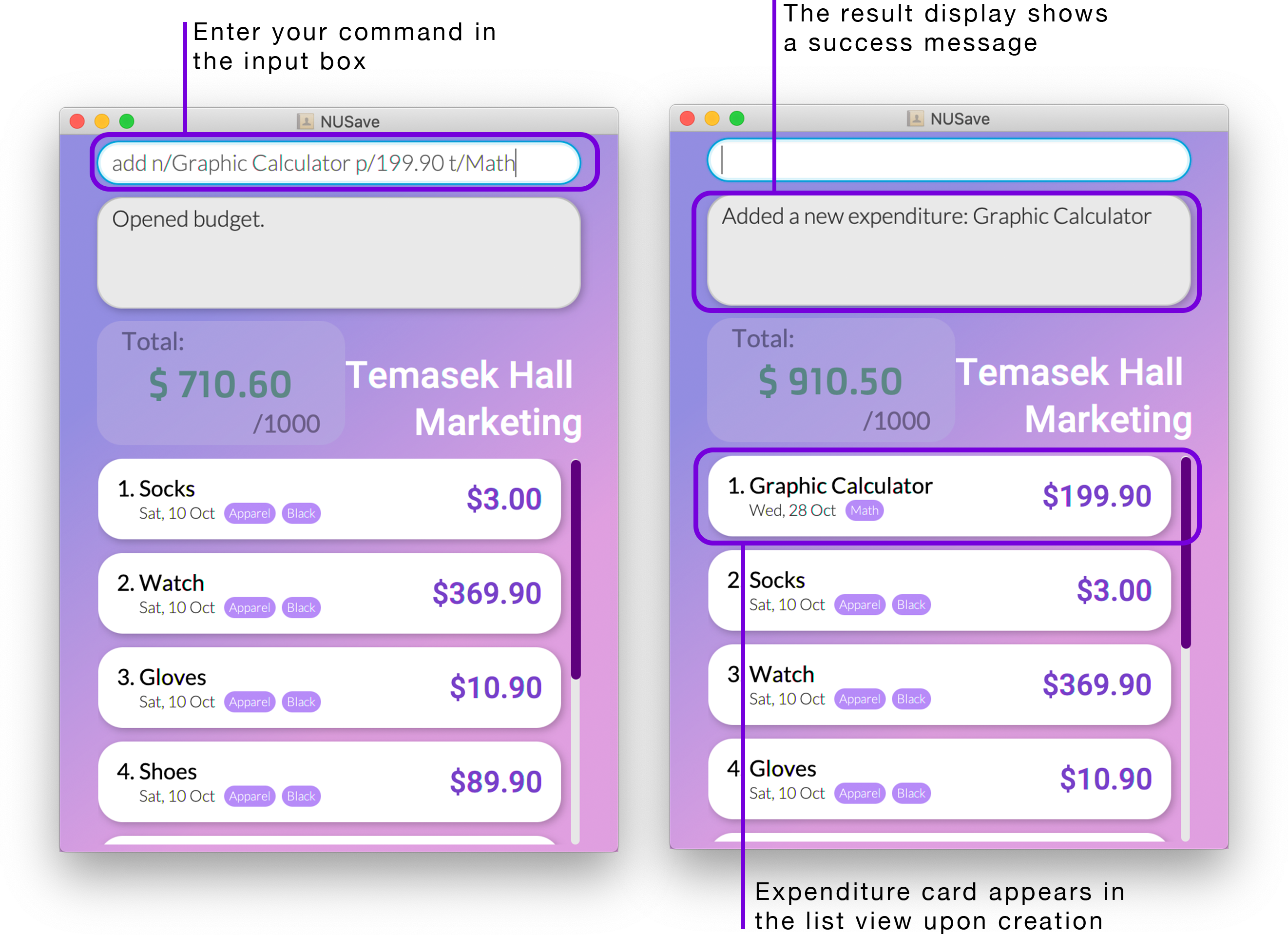 Example of add expenditure command