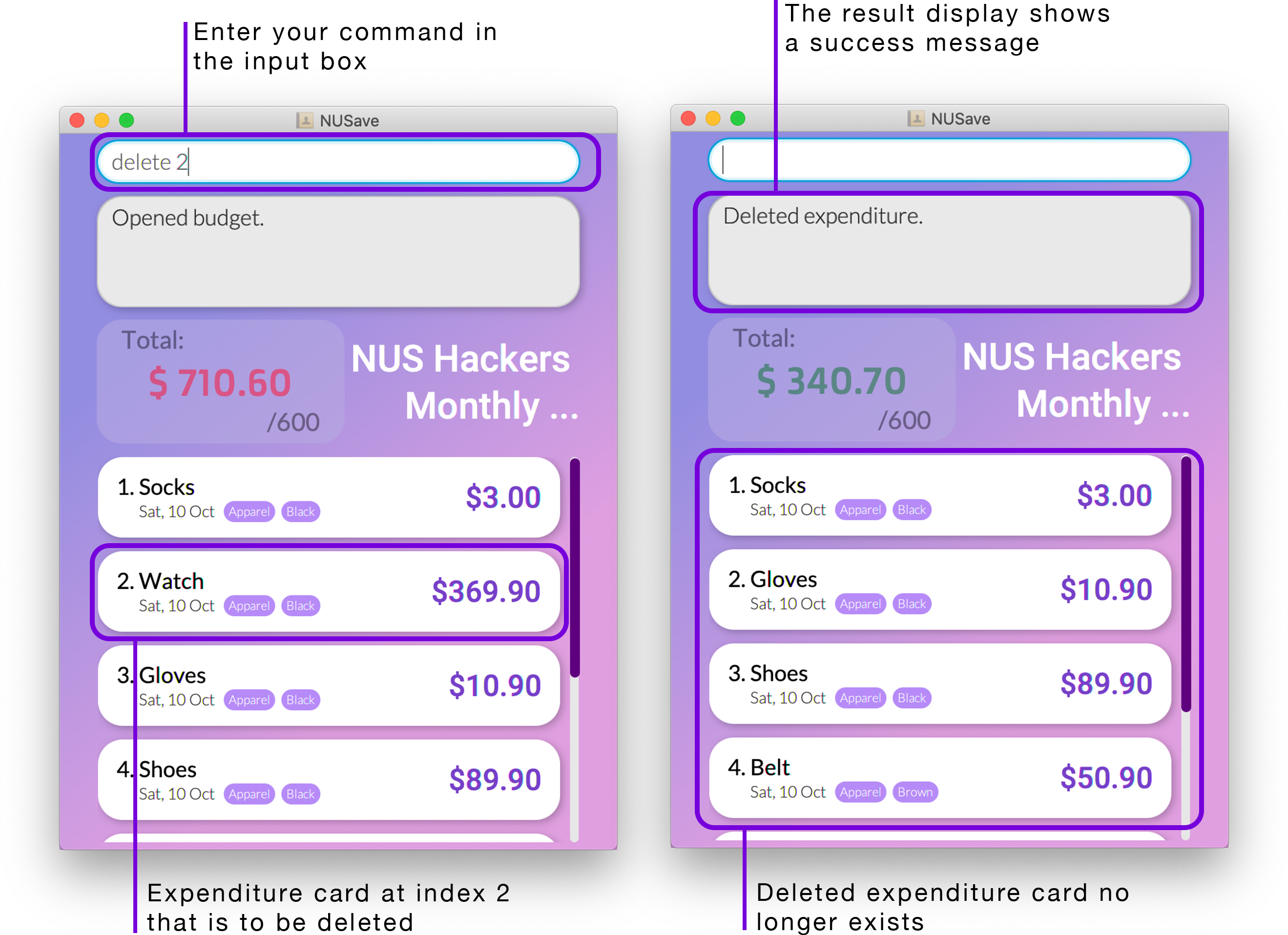 Example of delete expenditure command