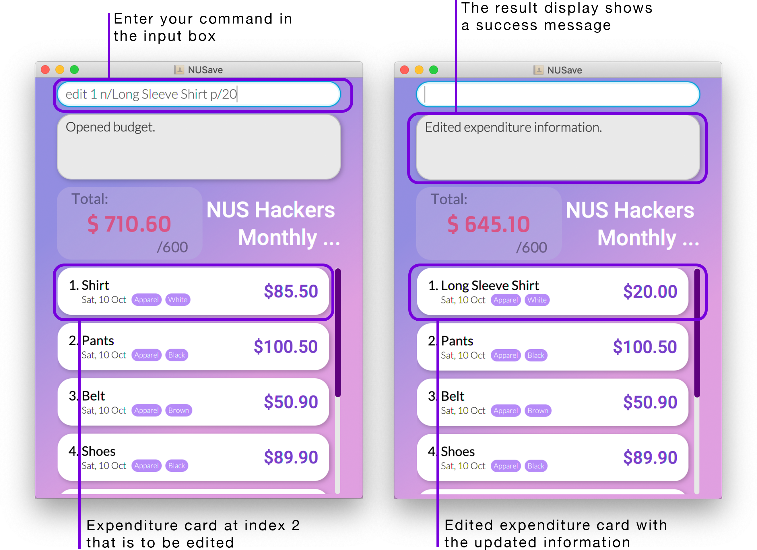 Example of edit expenditure command