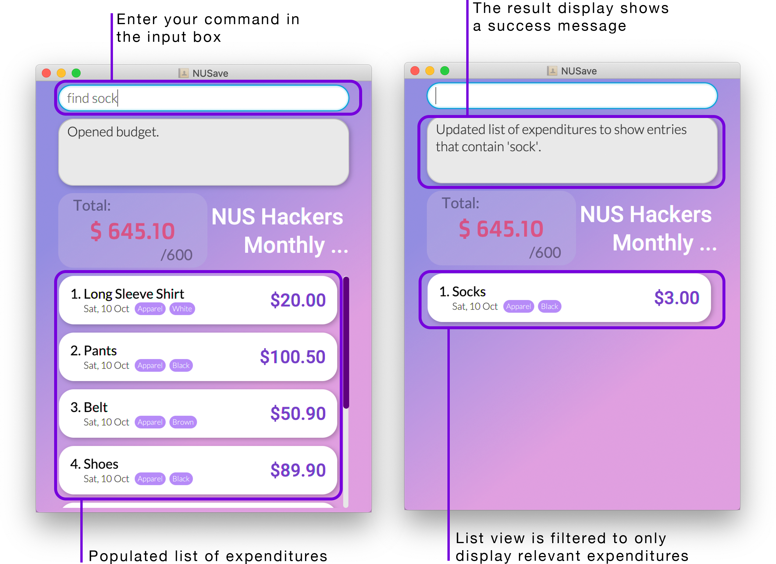 Example of find expenditures command