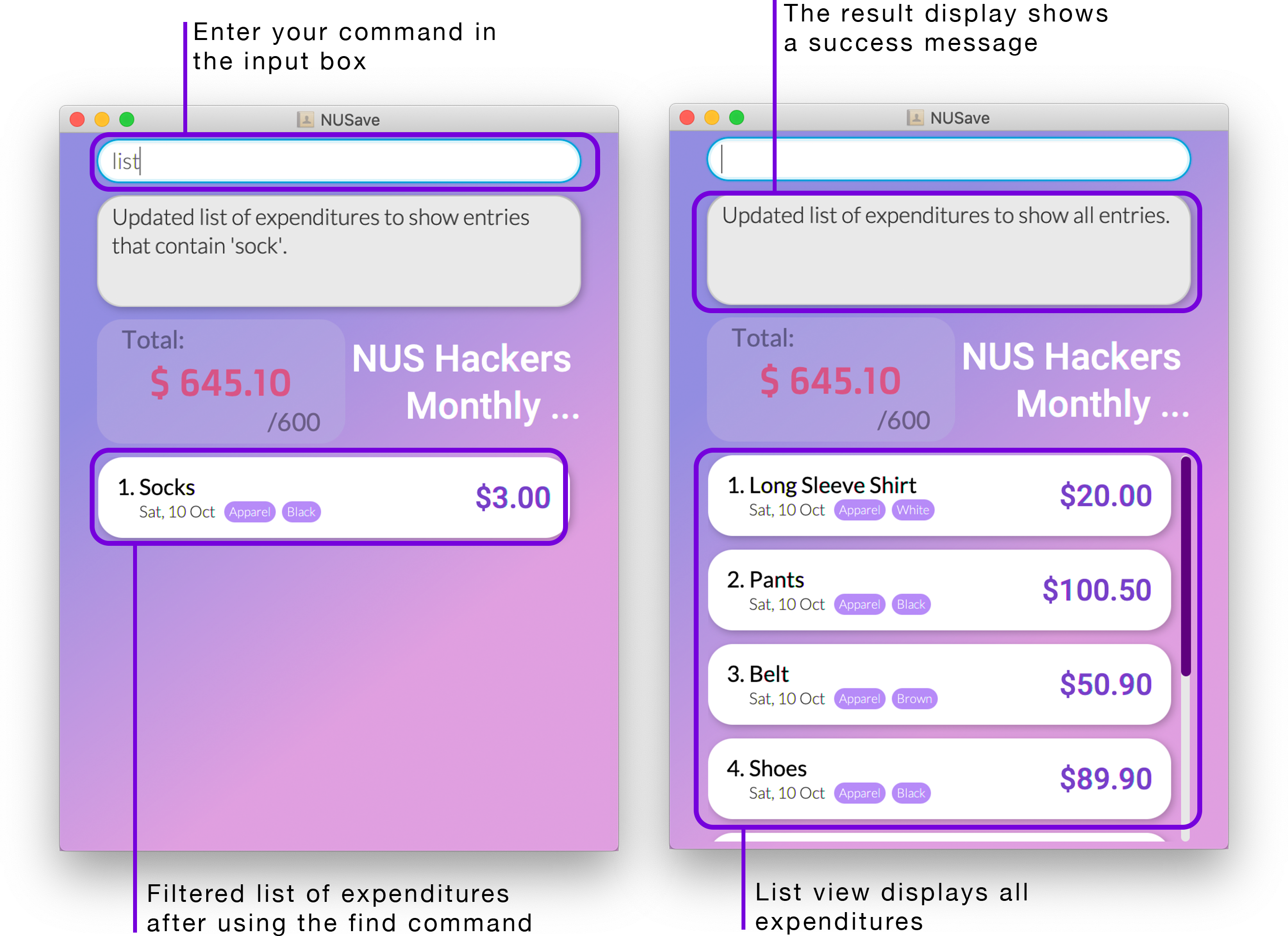 Example of list expenditures command