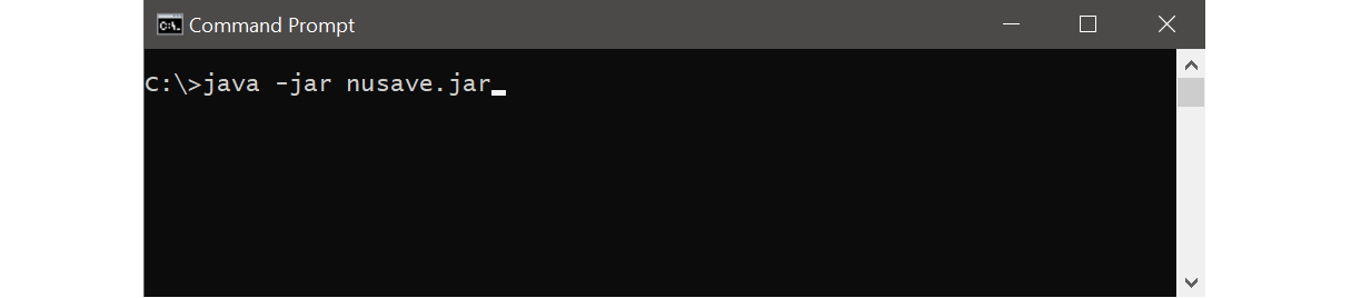 Example of launching NUSave using command prompt
